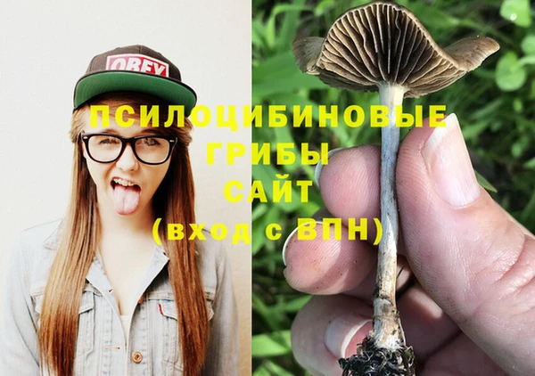 spice Переславль-Залесский
