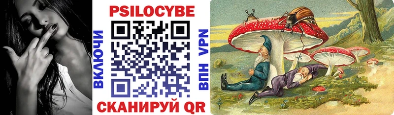 Псилоцибиновые грибы Magic Shrooms  гидра ссылки  Калининец 